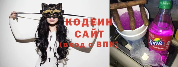 гашик Арсеньев