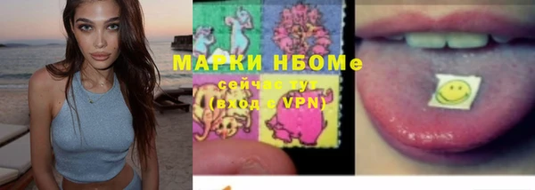 гашик Арсеньев
