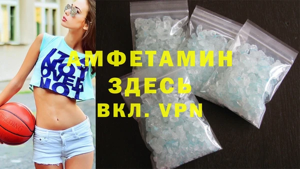 гашик Арсеньев