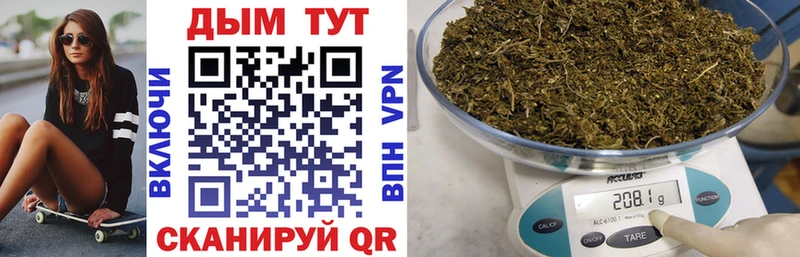 Канабис OG Kush  KRAKEN ONION  Почеп 